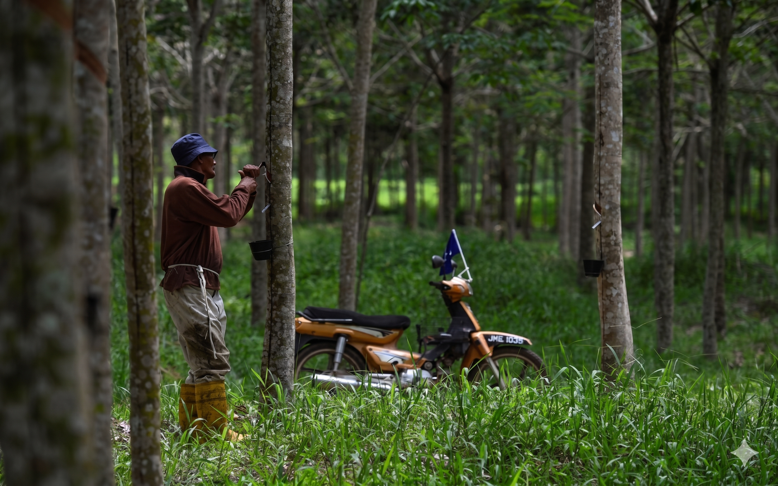 Pandangan Strategik Generasi Kedua terhadap FELDA